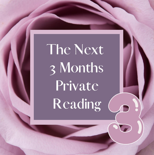 The Next Three Months Read 🤍 (private READ)