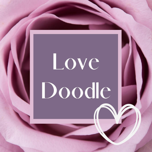 LOVE DOODLE LIVE