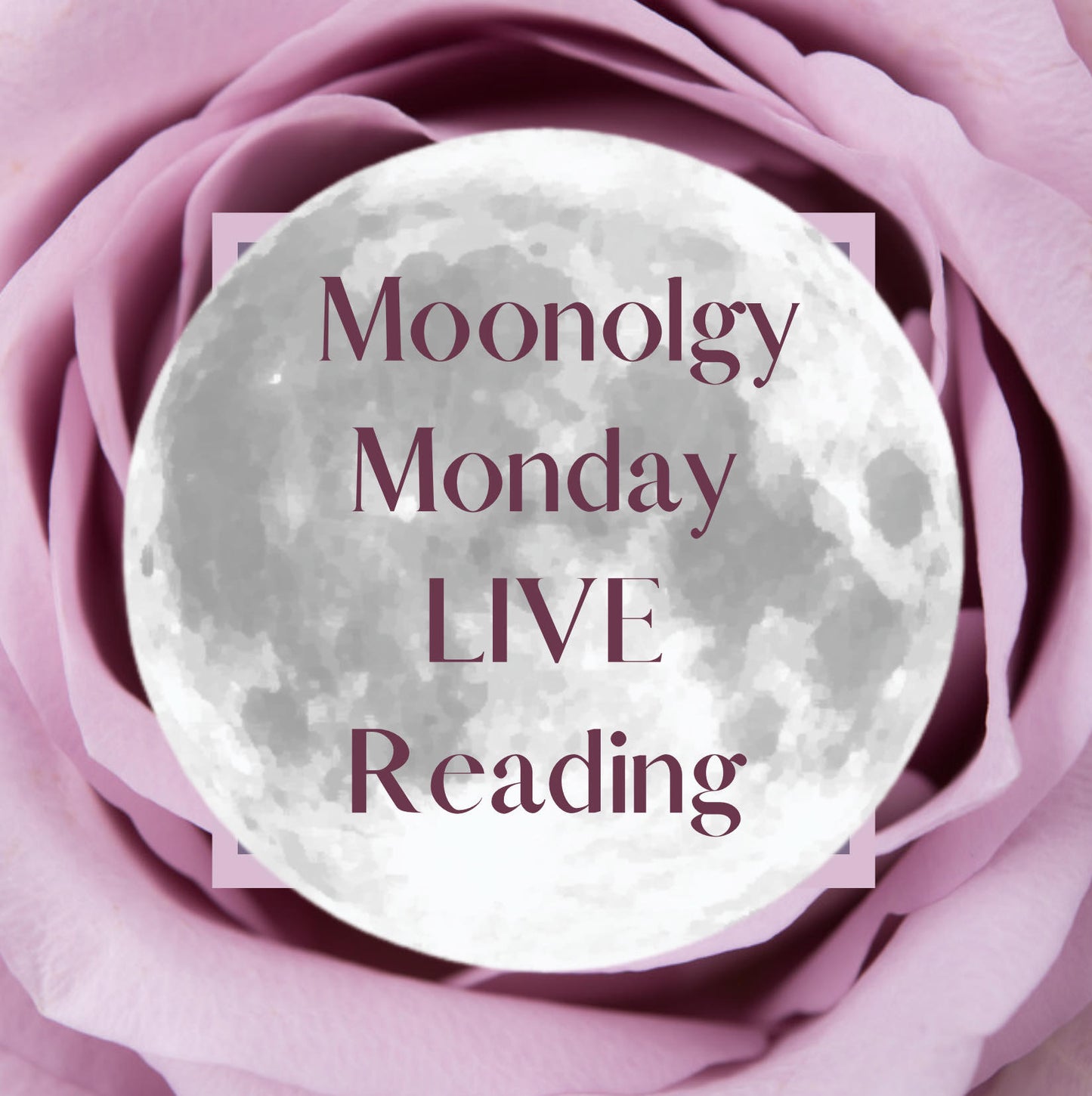 MONDAY Moonology LIVE Card Reading (UK & International)