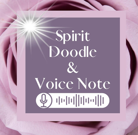 Spirit Doodle & Voice Note Reading Bundle🪽 (PRIVATE READING SENT TO YOUR EMAILS)