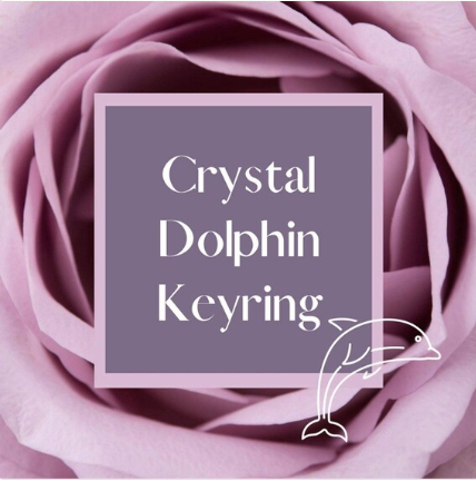 Dolphin Crystal & Gemstone Key Ring